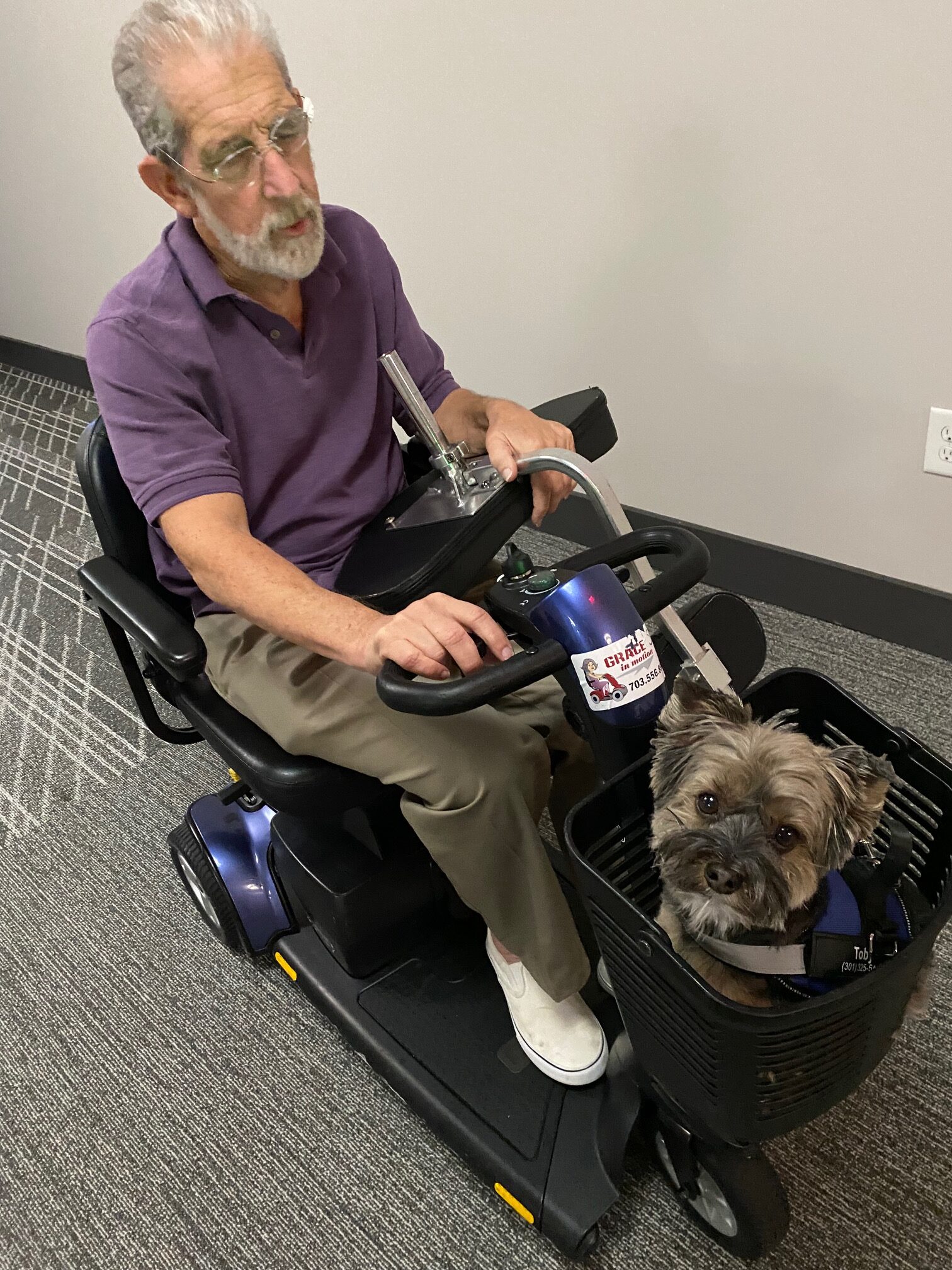 Mobility scooter with dog in basket